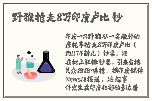 亚洲无线一区亚洲精品乱码